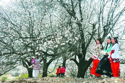 足球即时比分 捷报比分